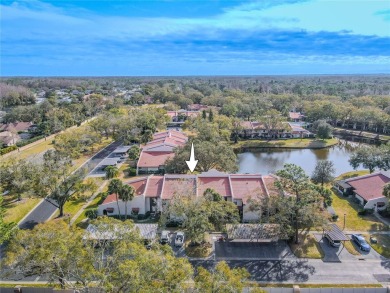 Under contract-accepting backup offers. Welcome to this inviting on Tarpon Woods Golf Club in Florida - for sale on GolfHomes.com, golf home, golf lot