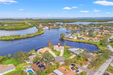 HARBOR ISLE HAS NEVER HAD ANY FLOODING ISSUES ~ LAKEFRONT POOL on Mangrove Bay Golf Course in Florida - for sale on GolfHomes.com, golf home, golf lot