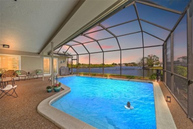 HARBOR ISLE HAS NEVER HAD ANY FLOODING ISSUES ~ LAKEFRONT POOL on Mangrove Bay Golf Course in Florida - for sale on GolfHomes.com, golf home, golf lot