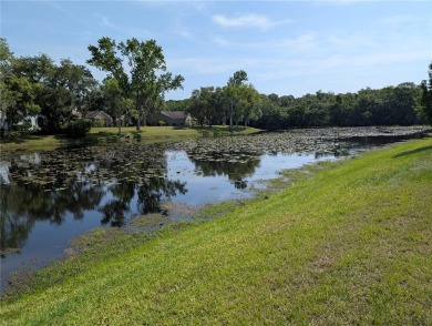 **Seller is offering an $10,000 credit for roof replacement** on Point O Woods Golf Club in Florida - for sale on GolfHomes.com, golf home, golf lot