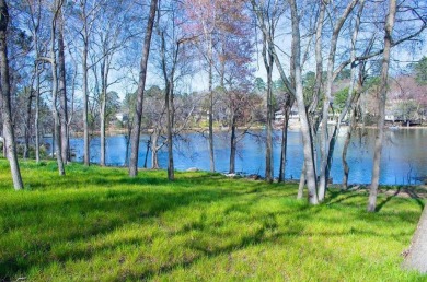 Newly platted build-able lots on Hideaway's Fishing Lake! Come on Hide-A-Way Lake Golf Course in Texas - for sale on GolfHomes.com, golf home, golf lot