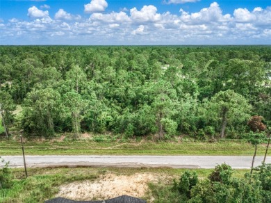 Build your dream home in the sought-after Sun N Lake community! on Sun n Lake Golf and Country Club in Florida - for sale on GolfHomes.com, golf home, golf lot