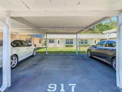 An active and a popular 55+ gated Community with a lot of on Summertree Golf Course in Florida - for sale on GolfHomes.com, golf home, golf lot