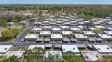 An active and a popular 55+ gated Community with a lot of on Summertree Golf Course in Florida - for sale on GolfHomes.com, golf home, golf lot
