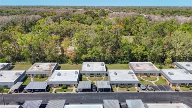 An active and a popular 55+ gated Community with a lot of on Summertree Golf Course in Florida - for sale on GolfHomes.com, golf home, golf lot