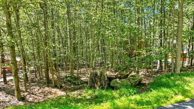 Prime Golf Course Lot in The Hideout - Surveyed & Ready to on The Hideout Golf in Pennsylvania - for sale on GolfHomes.com, golf home, golf lot