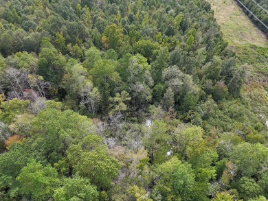 Highly-desirable rural lifestyle tract in north Burke County on Applewood Golf Course in Georgia - for sale on GolfHomes.com, golf home, golf lot