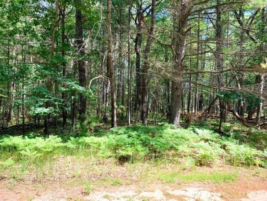 One of the few vacant lots left on White Deer Golf Course. Build on White Deer Country Club in Michigan - for sale on GolfHomes.com, golf home, golf lot
