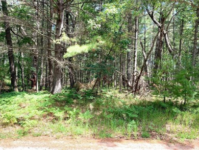 One of the few vacant lots left on White Deer Golf Course. Build on White Deer Country Club in Michigan - for sale on GolfHomes.com, golf home, golf lot