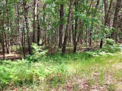 One of the few vacant lots left on White Deer Golf Course. Build on White Deer Country Club in Michigan - for sale on GolfHomes.com, golf home, golf lot