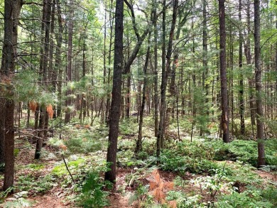 One of the few vacant lots left on White Deer Golf Course. Build on White Deer Country Club in Michigan - for sale on GolfHomes.com, golf home, golf lot