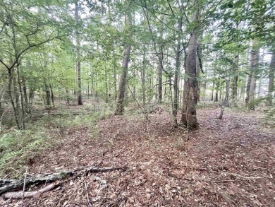 Here are two adjoining, wooded lots across the street from the on Pendleton Harbor in Texas - for sale on GolfHomes.com, golf home, golf lot