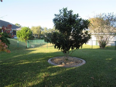 Welcome to your home in Ocala Palms, a vibrant 55+ gated on Ocala Palms Golf and Country Club in Florida - for sale on GolfHomes.com, golf home, golf lot