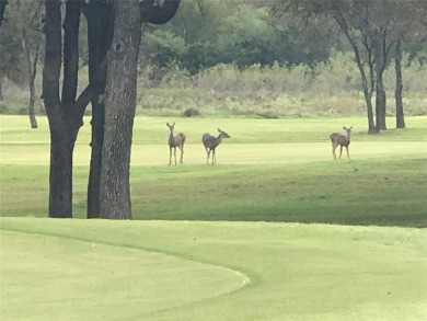 Need a place at the lake to get away from the hustle-bustle of on White Bluff Resort - Old Course in Texas - for sale on GolfHomes.com, golf home, golf lot