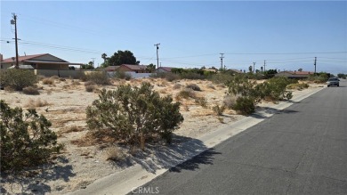 Two Adjacent Lots Near Hidden Springs Golf Course - Prime Desert on Sands RV and Golf Resort in California - for sale on GolfHomes.com, golf home, golf lot