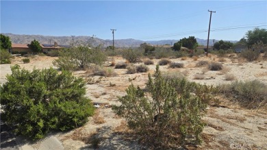 Two Adjacent Lots Near Hidden Springs Golf Course - Prime Desert on Sands RV and Golf Resort in California - for sale on GolfHomes.com, golf home, golf lot
