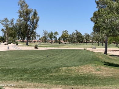 Well-maintained 2BR/2BA home in the gated Palo Verde community on Palo Verde Golf and Country Club in Arizona - for sale on GolfHomes.com, golf home, golf lot
