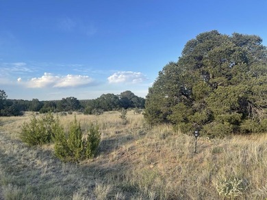 Great opportunity to own multiple parcels inside the gated on Walsenburg Golf Club in Colorado - for sale on GolfHomes.com, golf home, golf lot