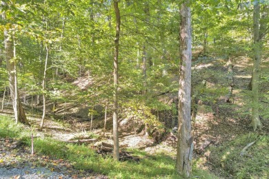 Fantastic building site on over 1.5 acres in Hideaway Hills on Hide-A-Way Hills Golf Club in Ohio - for sale on GolfHomes.com, golf home, golf lot