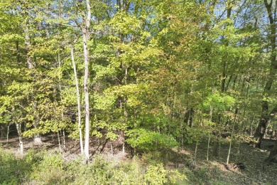 Fantastic building site on over 1.5 acres in Hideaway Hills on Hide-A-Way Hills Golf Club in Ohio - for sale on GolfHomes.com, golf home, golf lot