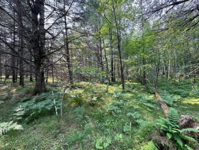 Golf course location & privacy-with this vacant lot you get on Timber Ridge Golf Club in Wisconsin - for sale on GolfHomes.com, golf home, golf lot