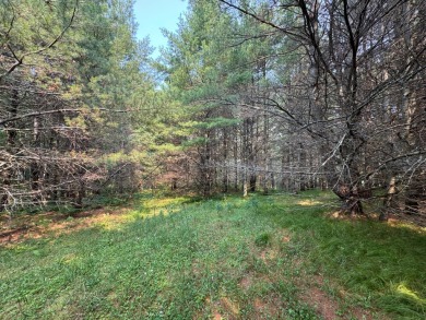 Golf course location & privacy-with this vacant lot you get on Timber Ridge Golf Club in Wisconsin - for sale on GolfHomes.com, golf home, golf lot