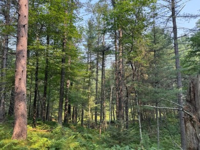 Golf course location & privacy-with this vacant lot you get on Timber Ridge Golf Club in Wisconsin - for sale on GolfHomes.com, golf home, golf lot