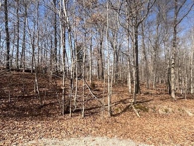 Wooded, .37-acre buildable lot on a quiet cul-de-sac / dead-end on Bella Vista - Metfield Golf Complex and Country Club in Arkansas - for sale on GolfHomes.com, golf home, golf lot