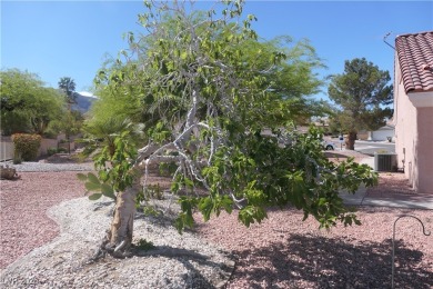 WHAT?!  GREAT PROPERTY ON 1/4 ACRE IN SUN CITY SUMMERLIN at THIS on Highland Falls Golf Club in Nevada - for sale on GolfHomes.com, golf home, golf lot