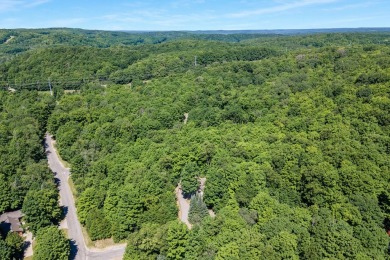 Enjoy Northern Michigan living in this spacious Chalet style on Schuss Mountain Golf Club in Michigan - for sale on GolfHomes.com, golf home, golf lot