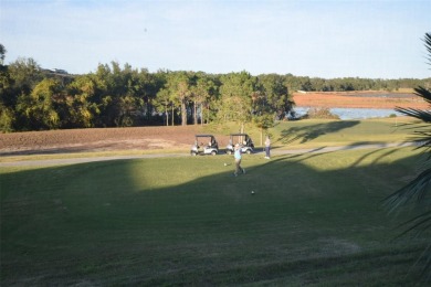 You won't find views like this everyday!  In fact, *FANTASTIC* on Sanctuary Ridge Golf in Florida - for sale on GolfHomes.com, golf home, golf lot