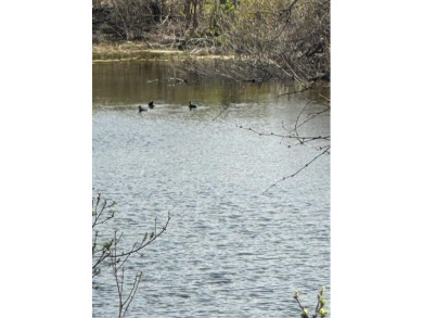 Lot borders seasonal pond so great view and atmosphere. Please on Slick Rock Golf Course - Horseshoe Bay in Texas - for sale on GolfHomes.com, golf home, golf lot