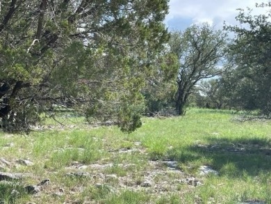 Lot borders seasonal pond so great view and atmosphere. Please on Slick Rock Golf Course - Horseshoe Bay in Texas - for sale on GolfHomes.com, golf home, golf lot