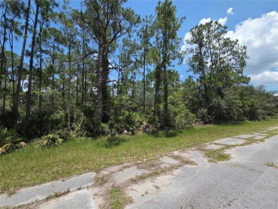 Check out this 0.50 ACRE lot located in Indian Lake Estates! A on Indian Lake Estates Golf and Country Club in Florida - for sale on GolfHomes.com, golf home, golf lot