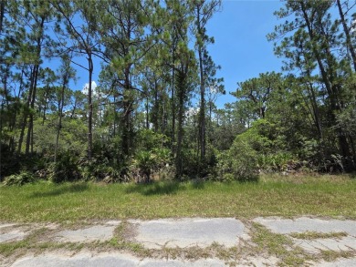 Check out this 0.50 ACRE lot located in Indian Lake Estates! A on Indian Lake Estates Golf and Country Club in Florida - for sale on GolfHomes.com, golf home, golf lot