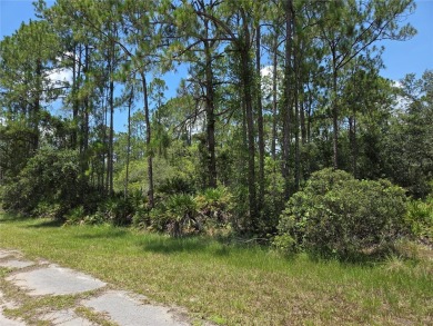 Check out this 0.50 ACRE lot located in Indian Lake Estates! A on Indian Lake Estates Golf and Country Club in Florida - for sale on GolfHomes.com, golf home, golf lot