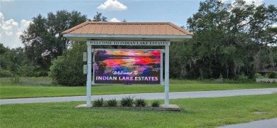 Check out this 0.50 ACRE lot located in Indian Lake Estates! A on Indian Lake Estates Golf and Country Club in Florida - for sale on GolfHomes.com, golf home, golf lot
