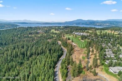 A Gozzer Ranch Golf and Lake Club lot.  Golf membership to on Gozzer Ranch Golf and Lake Club in Idaho - for sale on GolfHomes.com, golf home, golf lot
