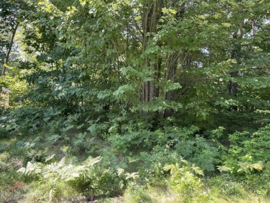''Enjoy approximately 300 feet of private lake access complete on Pine View Highlands Golf Course in Michigan - for sale on GolfHomes.com, golf home, golf lot