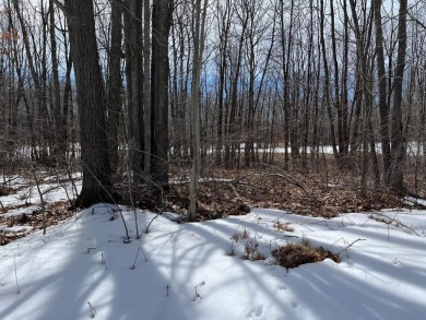 ''Enjoy approximately 300 feet of private lake access complete on Pine View Highlands Golf Course in Michigan - for sale on GolfHomes.com, golf home, golf lot