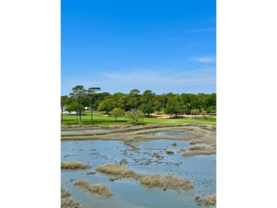 Fantastic panoramic views!  This level is like a 5th floor view on The Dunes Golf and Beach Club in South Carolina - for sale on GolfHomes.com, golf home, golf lot