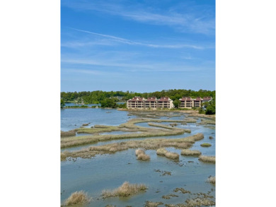 Fantastic panoramic views!  This level is like a 5th floor view on The Dunes Golf and Beach Club in South Carolina - for sale on GolfHomes.com, golf home, golf lot