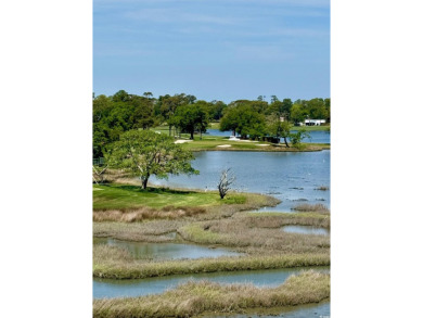 Fantastic panoramic views!  This level is like a 5th floor view on The Dunes Golf and Beach Club in South Carolina - for sale on GolfHomes.com, golf home, golf lot