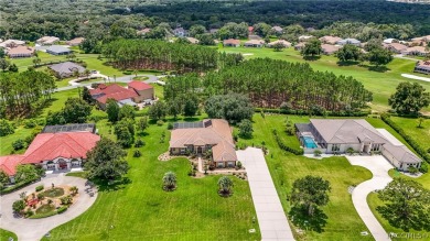 LOCATION, LOCATION, LOCATION. CUSTOM BUILT, TERRA VISTA HOME ON on Skyview At Terra Vista Golf and Country Club in Florida - for sale on GolfHomes.com, golf home, golf lot