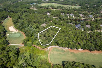 Nestled within the secure, gated community of Wild Heron, you'll on Sharks Tooth Golf Club in Florida - for sale on GolfHomes.com, golf home, golf lot