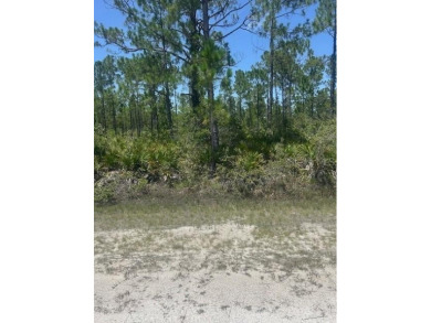 Build Your Dream Home in Scenic Indian Lake Estates:  Welcome to on Indian Lake Estates Golf and Country Club in Florida - for sale on GolfHomes.com, golf home, golf lot