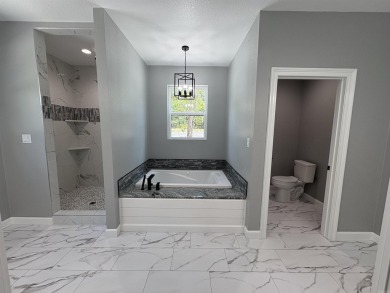 Stunning New Construction in Hot Springs Village!  Welcome to on DeSoto Golf Course in Arkansas - for sale on GolfHomes.com, golf home, golf lot