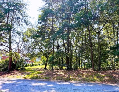 What an amazing little gem in the middle of this sought after on Pebble Creek Golf Club in South Carolina - for sale on GolfHomes.com, golf home, golf lot