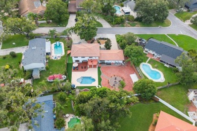 Mediterranean Revival Estate with NEW Custom Pool in Temple on Temple Terrace Golf and Country Club in Florida - for sale on GolfHomes.com, golf home, golf lot