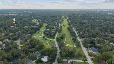 Mediterranean Revival Estate with NEW Custom Pool in Temple on Temple Terrace Golf and Country Club in Florida - for sale on GolfHomes.com, golf home, golf lot